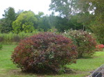 photo from Becky Smith